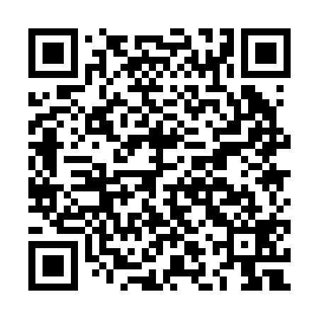 QR code for LLQ219