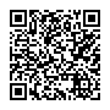QR code for LMT295