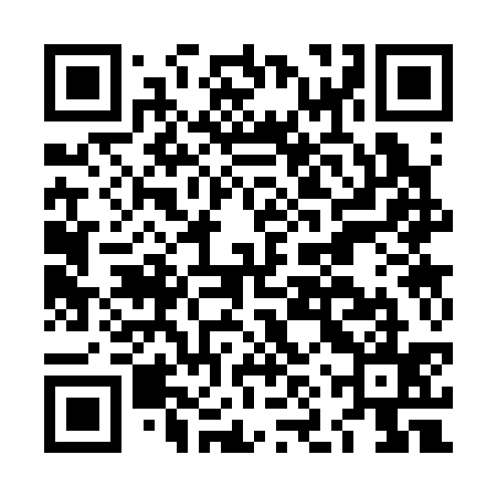 QR code for LNS335
