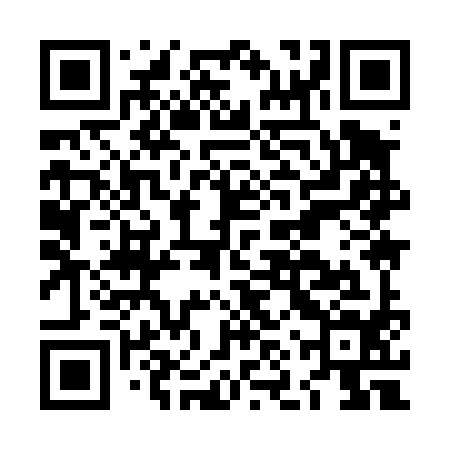 QR code for LNY494