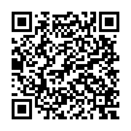 QR code for LOO509