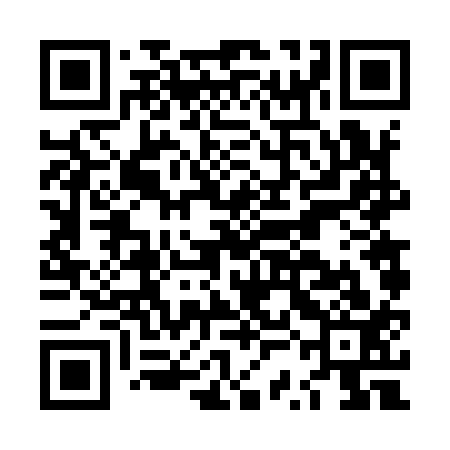 QR code for LSF913