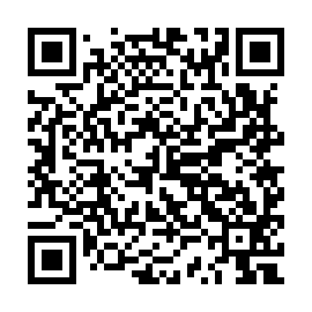 QR code for LSG993