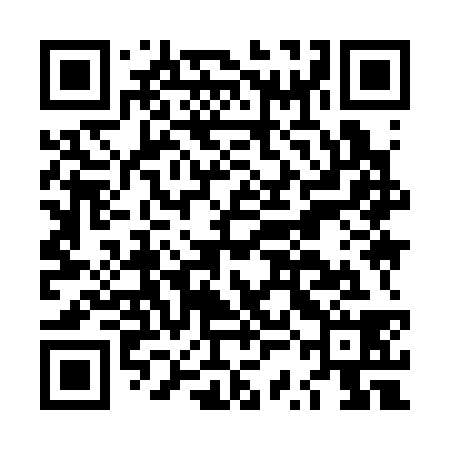 QR code for LSI338