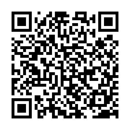 QR code for LUC555