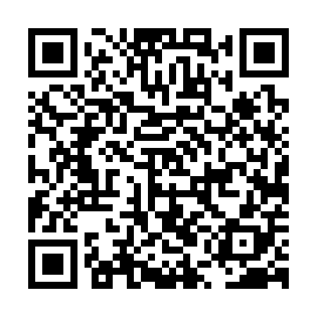 QR code for LUD308