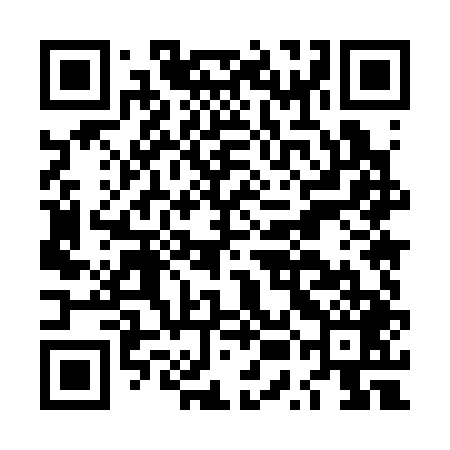 QR code for LUM349