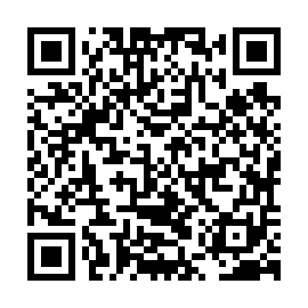 QR code for LUZ651