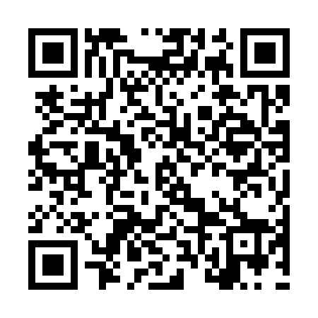 QR code for LVO368