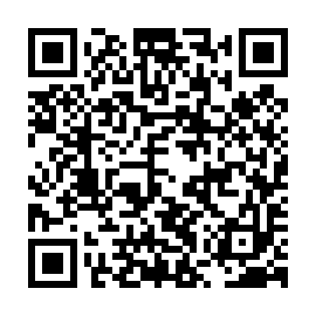 QR code for LWW493
