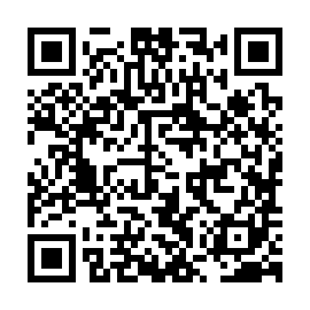 QR code for LWZ381