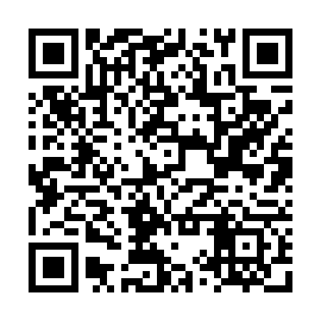 QR code for LYR463