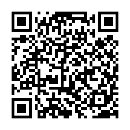 QR code for LYY495