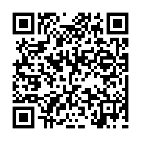 QR code for LZF386