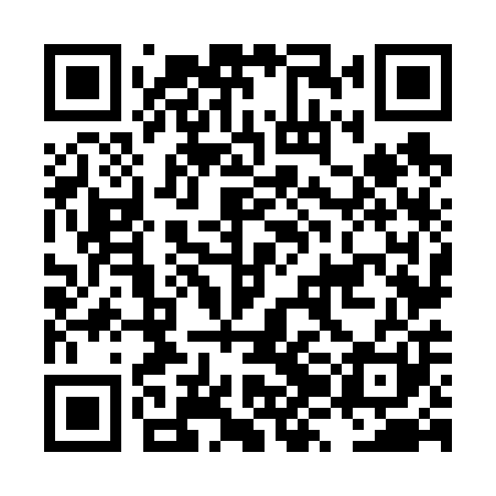 QR code for LZN601