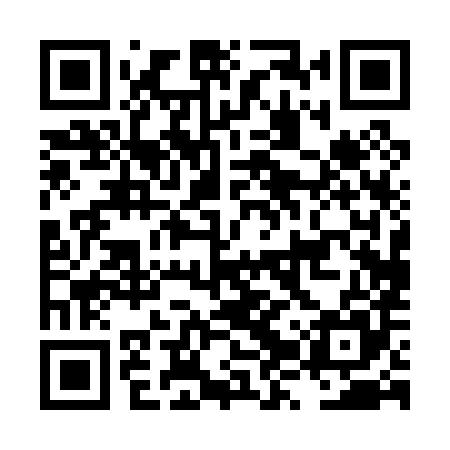 QR code for LZP085