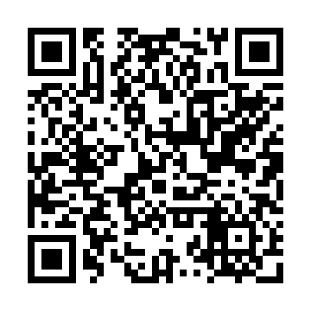 QR code for LZP286