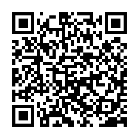 QR code for LZR519