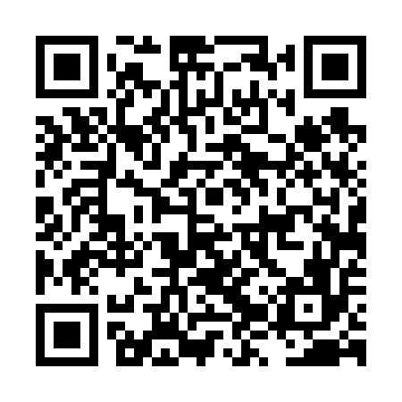 QR code for LZT656