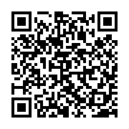 QR code for LZV498