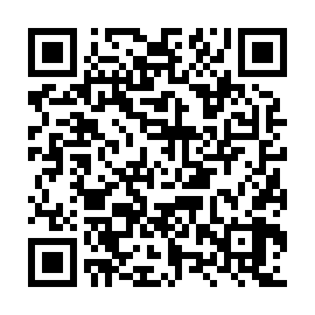 QR code for LZV868