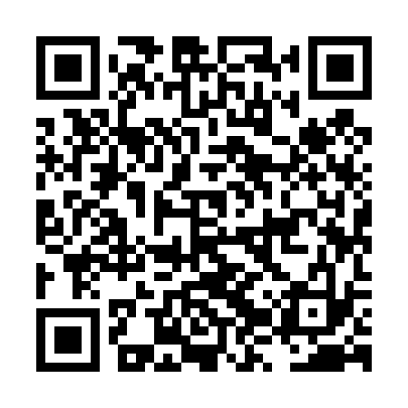 QR code for LZY433