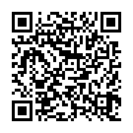 QR code for LZZ709