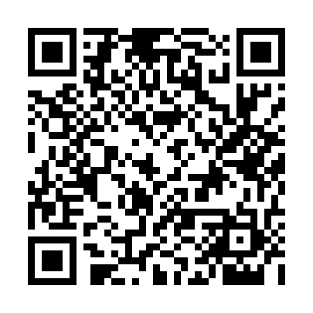 QR code for MAX533