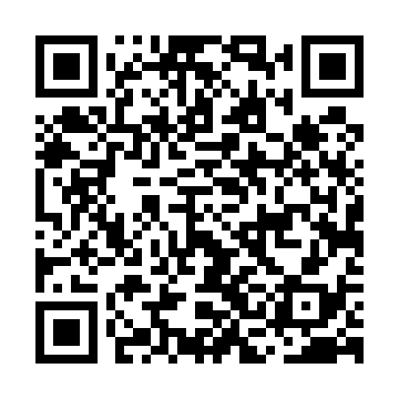 QR code for MCD538