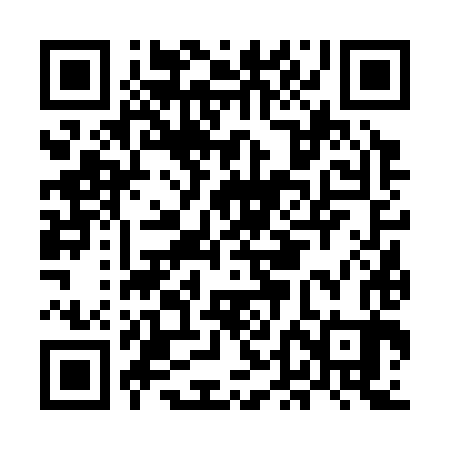 QR code for MDF383