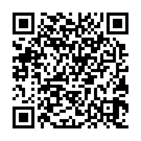 QR code for MDG309