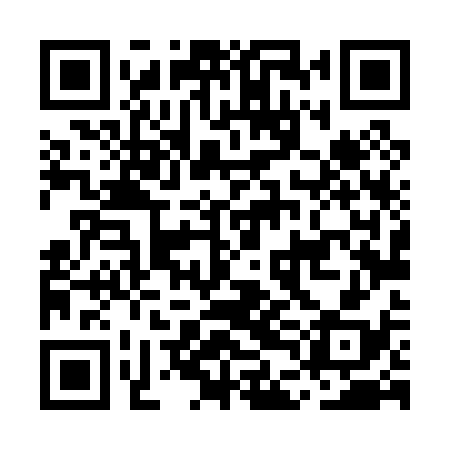 QR code for MDL038