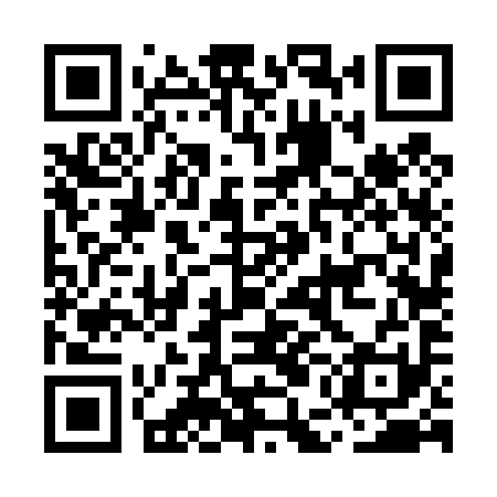 QR code for MEF491