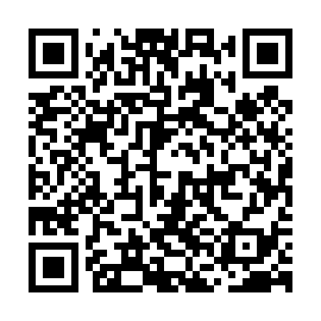 QR code for MFE439