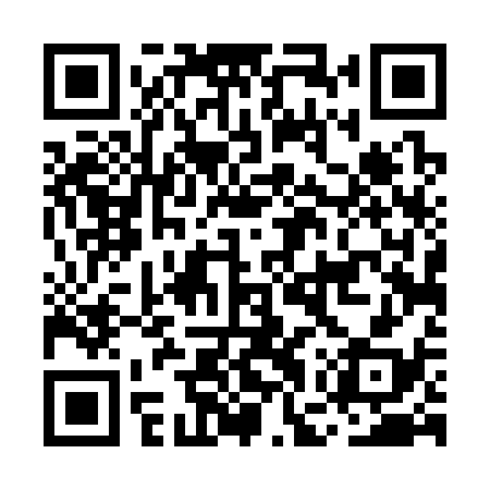 QR code for MGT338