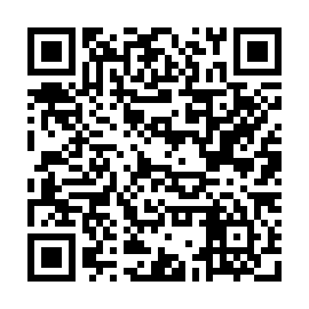 QR code for MGV385