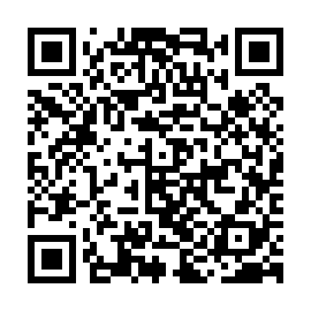 QR code for MIC028