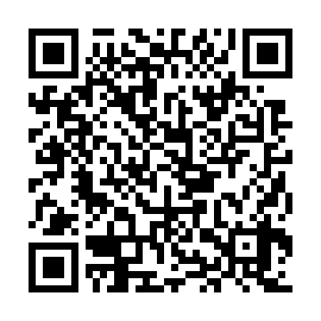 QR code for MIR738