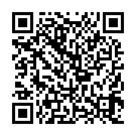 QR code for MIR919