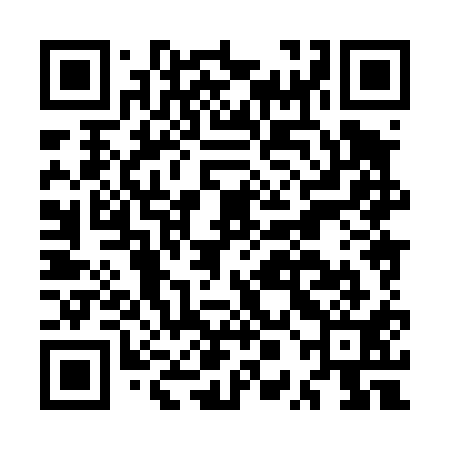 QR code for MPH411