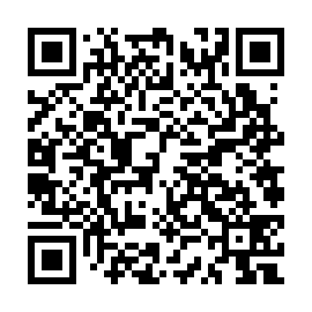 QR code for MSF339