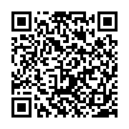 QR code for MSG333