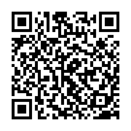 QR code for MSQ998