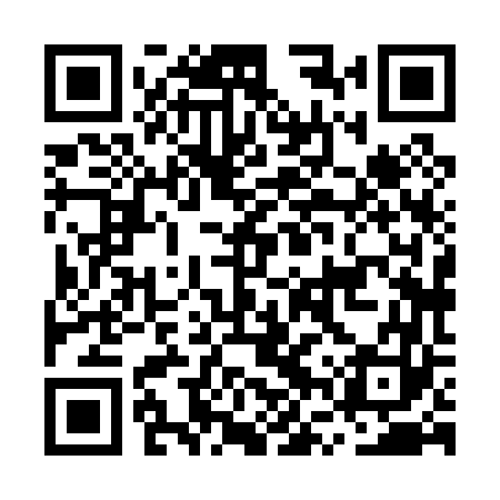 QR code for MVX063