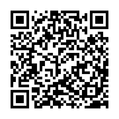 QR code for MXP291