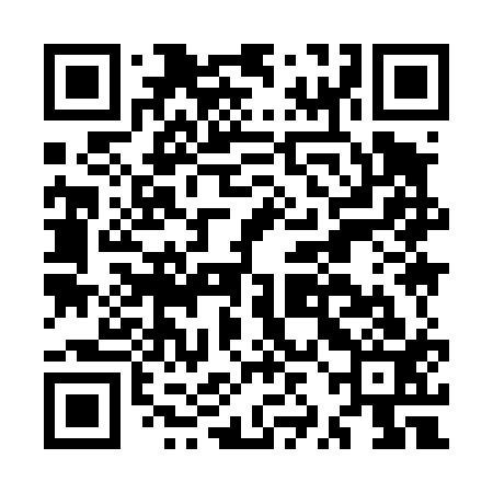 QR code for MZI413