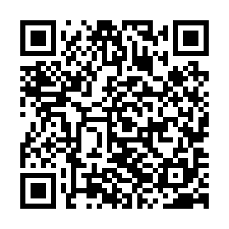 QR code for MZN295