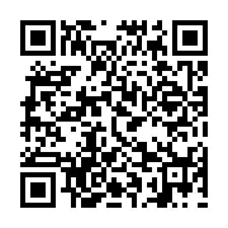 QR code for NAL338