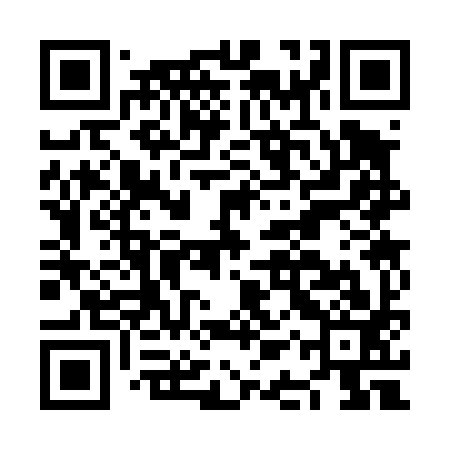 QR code for NAS493