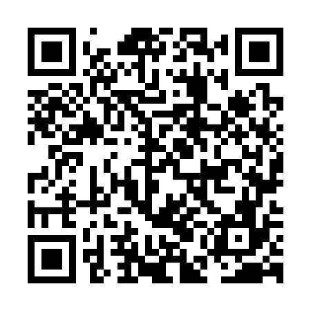 QR code for NEN376